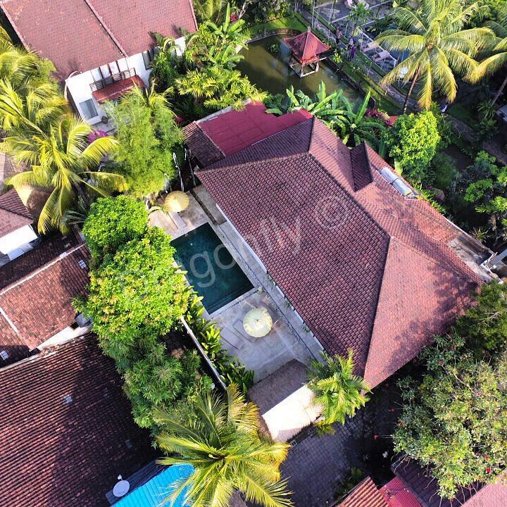 The Royal Palm Villa Убуд Екстериор снимка